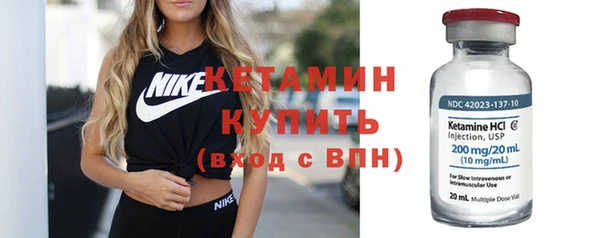 трава Няндома
